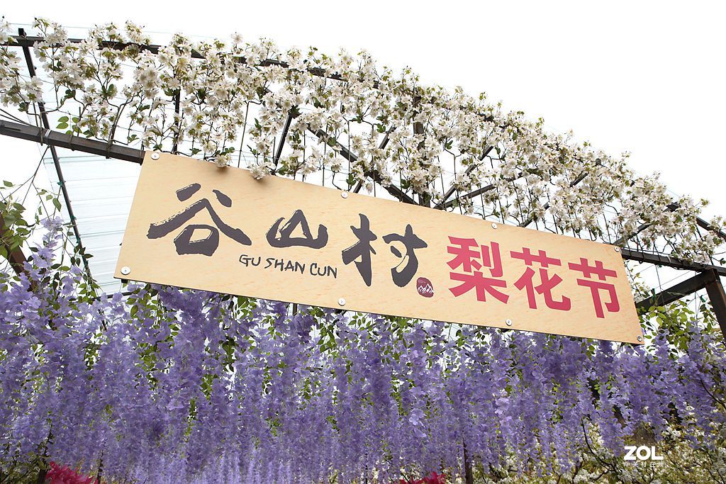 门头沟谷山村,东山梨园