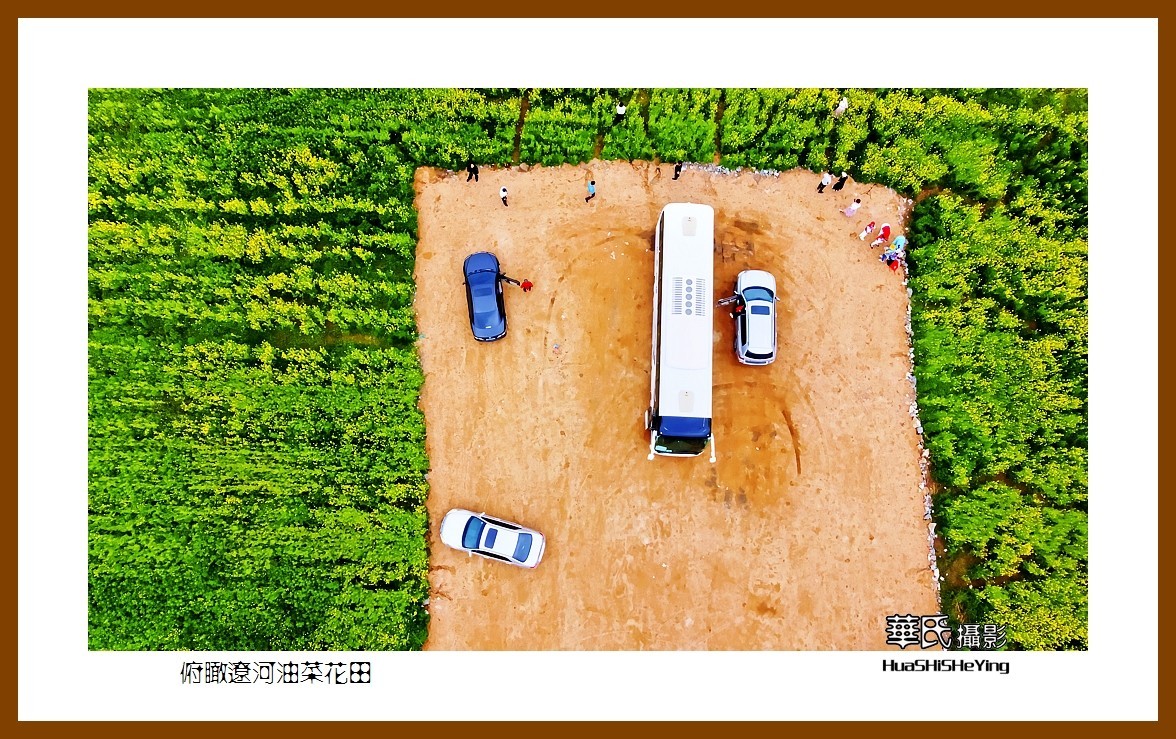 我爱家乡——俯瞰辽河油菜花田（辽宁鞍山台安县张荒地）