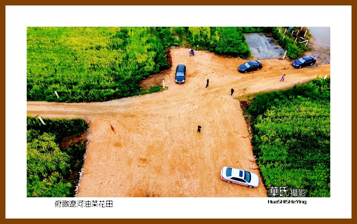 我爱家乡——俯瞰辽河油菜花田（辽宁鞍山台安县张荒地）
