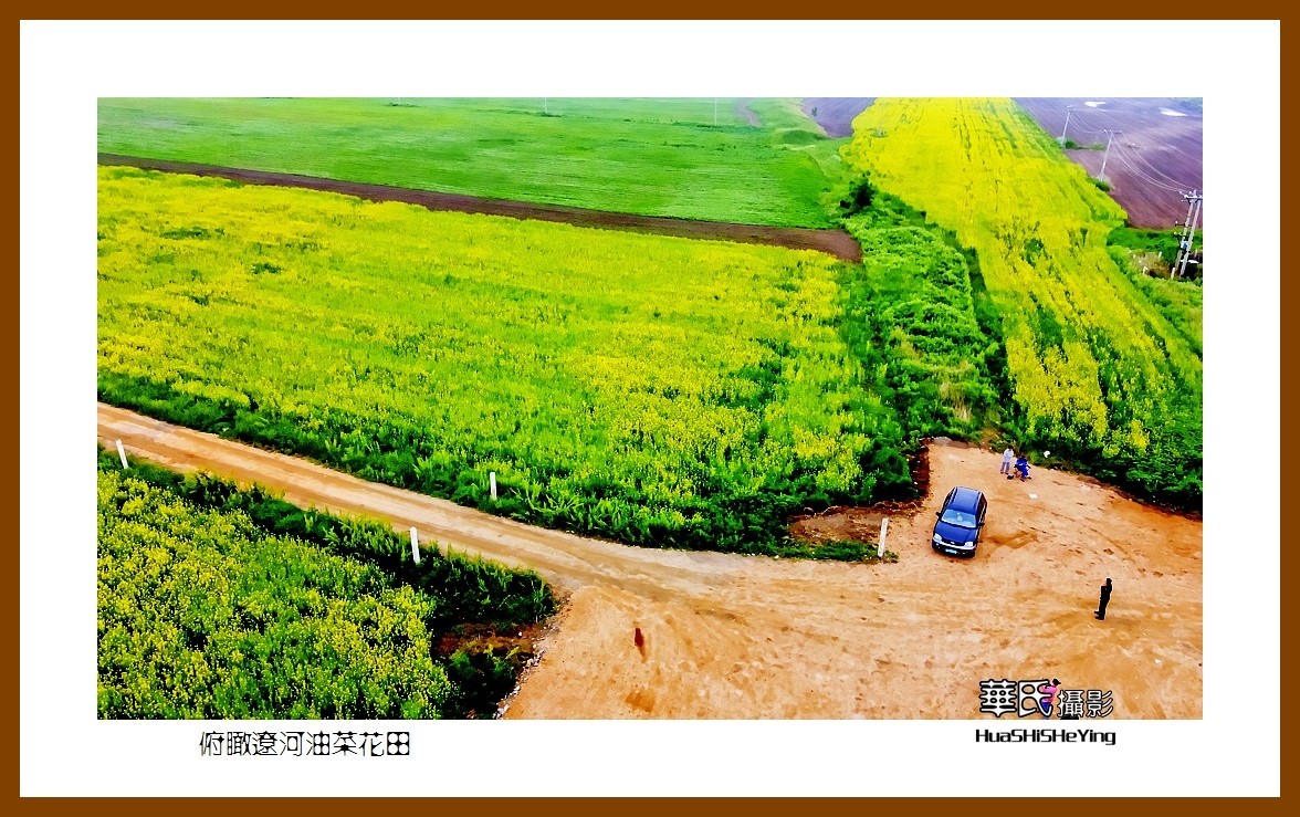 我爱家乡——俯瞰辽河油菜花田（辽宁鞍山台安县张荒地）