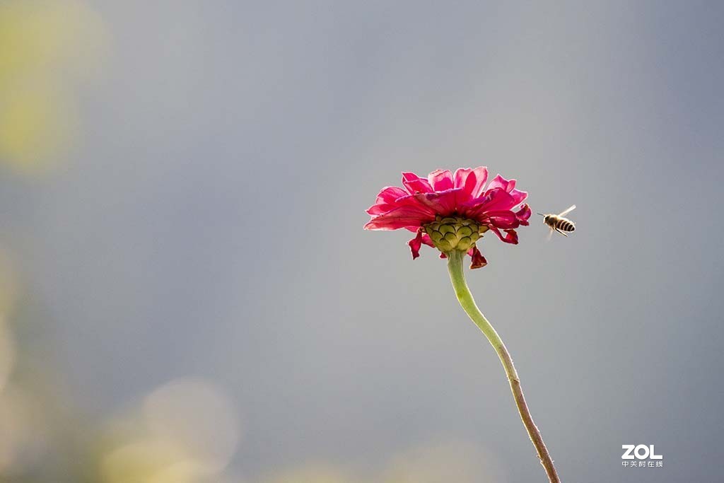 发新帖来 尼康AF-S 70-300mm f/4.5-5.6G IF-ED VR星空(中国)来看看山水老师