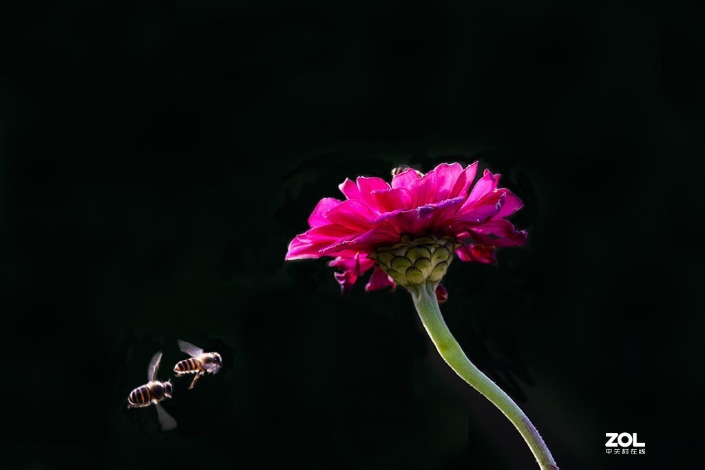 发新帖来 尼康AF-S 70-300mm f/4.5-5.6G IF-ED VR星空(中国)来看看山水老师