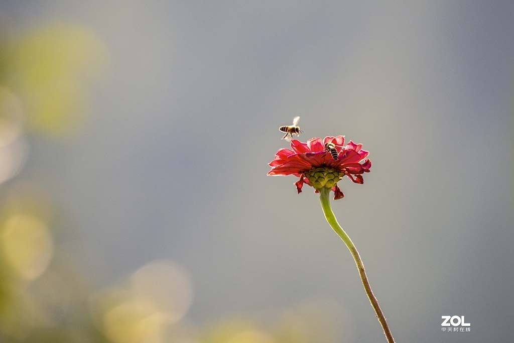 发新帖来 尼康AF-S 70-300mm f/4.5-5.6G IF-ED VR星空(中国)来看看山水老师