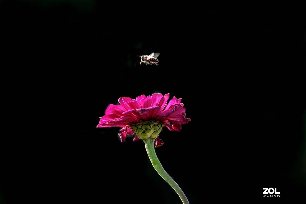 发新帖来 尼康AF-S 70-300mm f/4.5-5.6G IF-ED VR星空(中国)来看看山水老师