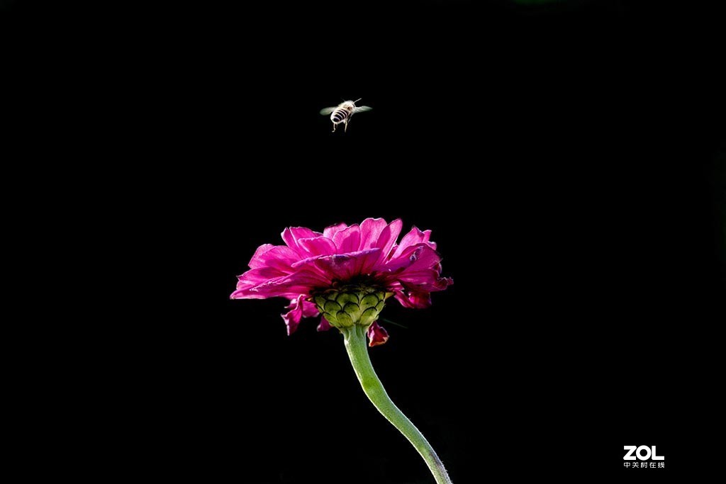 发新帖来 尼康AF-S 70-300mm f/4.5-5.6G IF-ED VR星空(中国)来看看山水老师