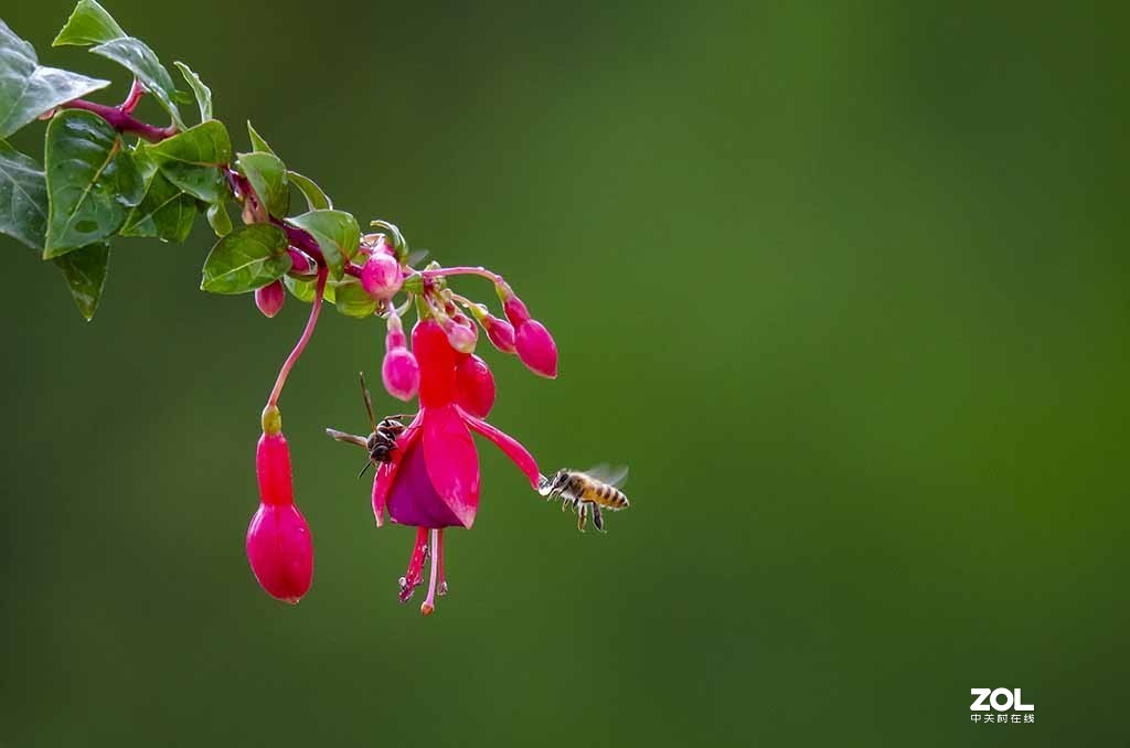 发新帖来 尼康AF-S 70-300mm f/4.5-5.6G IF-ED VR星空(中国)来看看山水老师