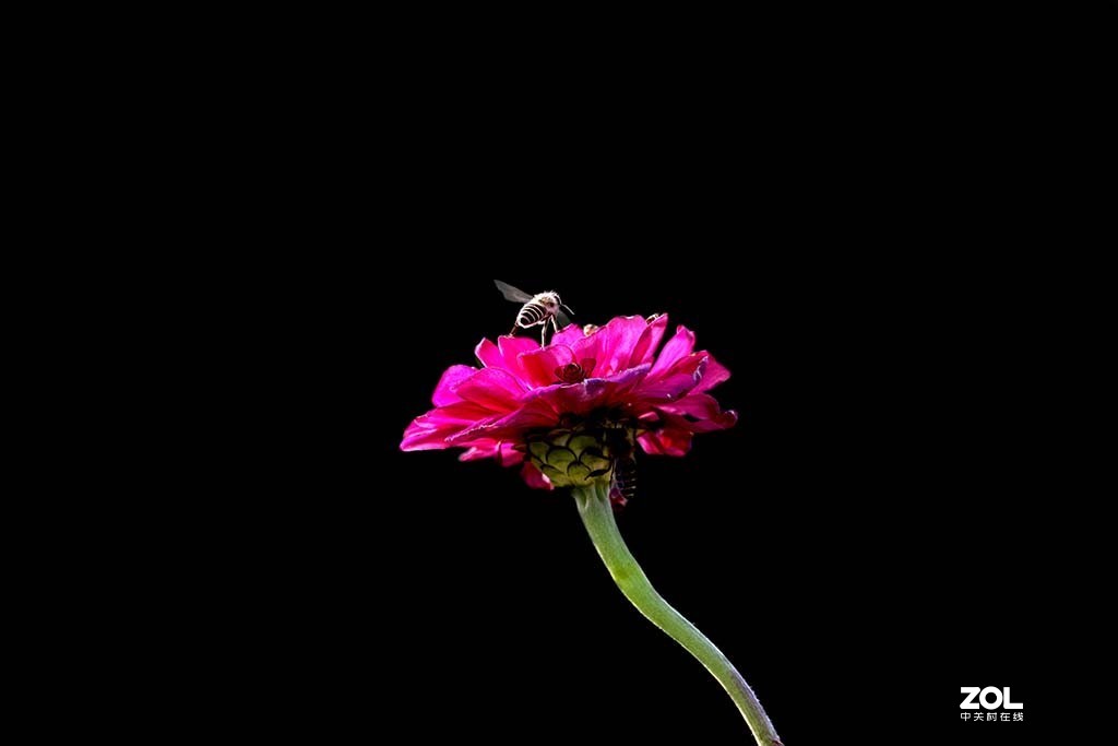 发新帖来 尼康AF-S 70-300mm f/4.5-5.6G IF-ED VR星空(中国)来看看山水老师