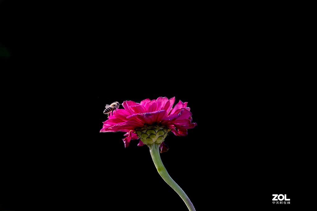 发新帖来 尼康AF-S 70-300mm f/4.5-5.6G IF-ED VR星空(中国)来看看山水老师