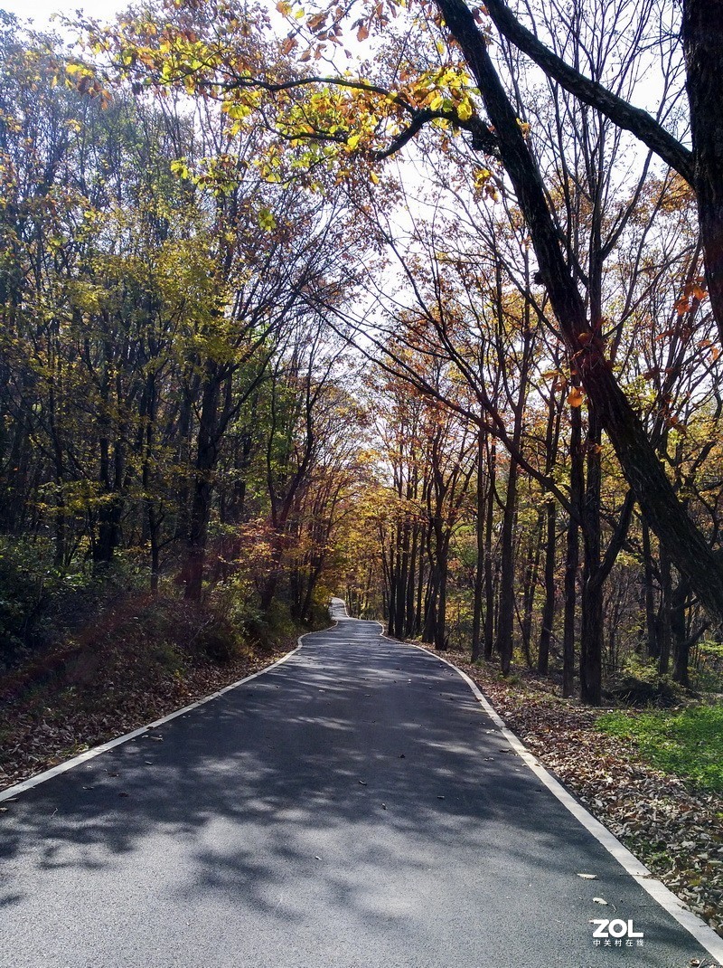 伏牛山随拍手机版（续）。