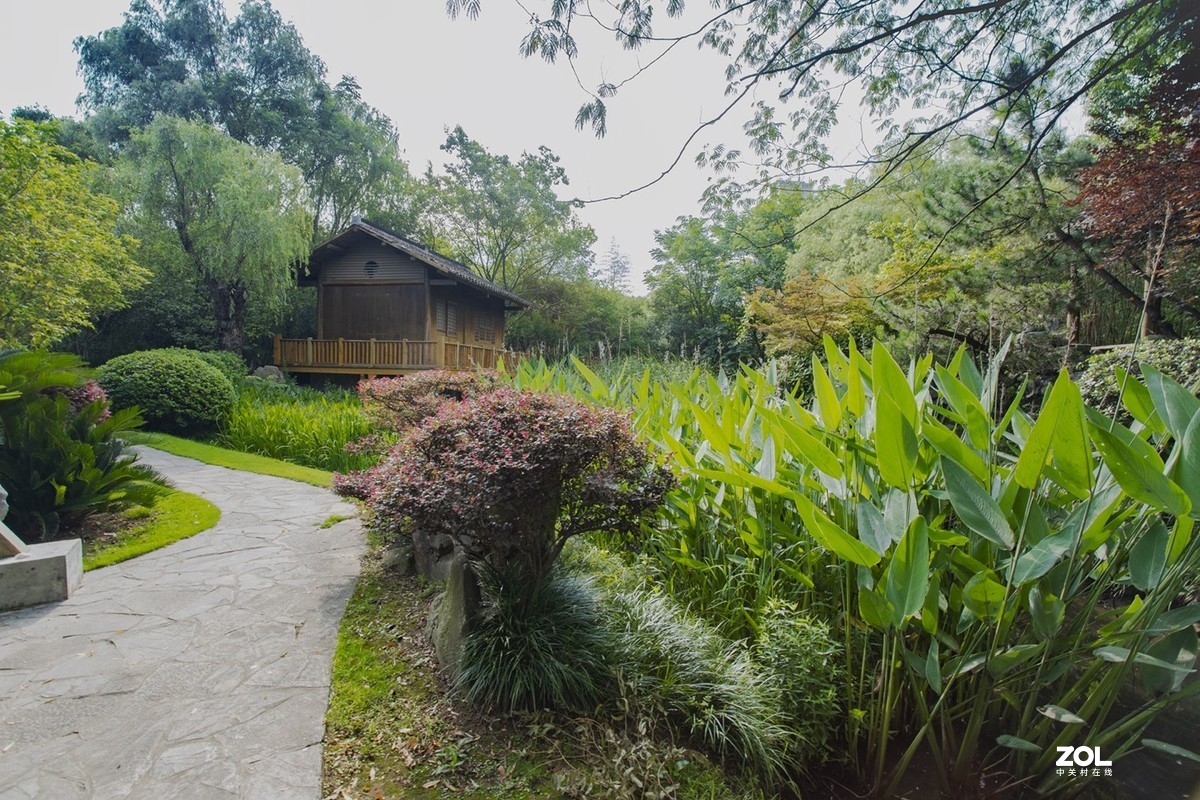 绿博园体验17-40