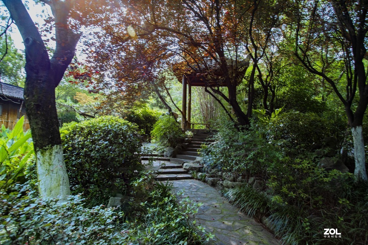 绿博园体验17-40