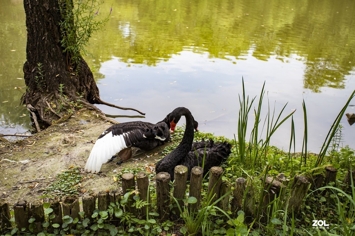 绿博园体验17-40