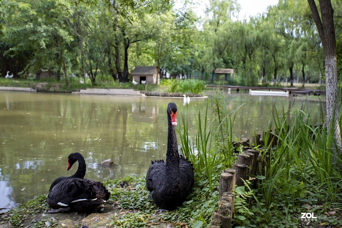 绿博园体验17-40