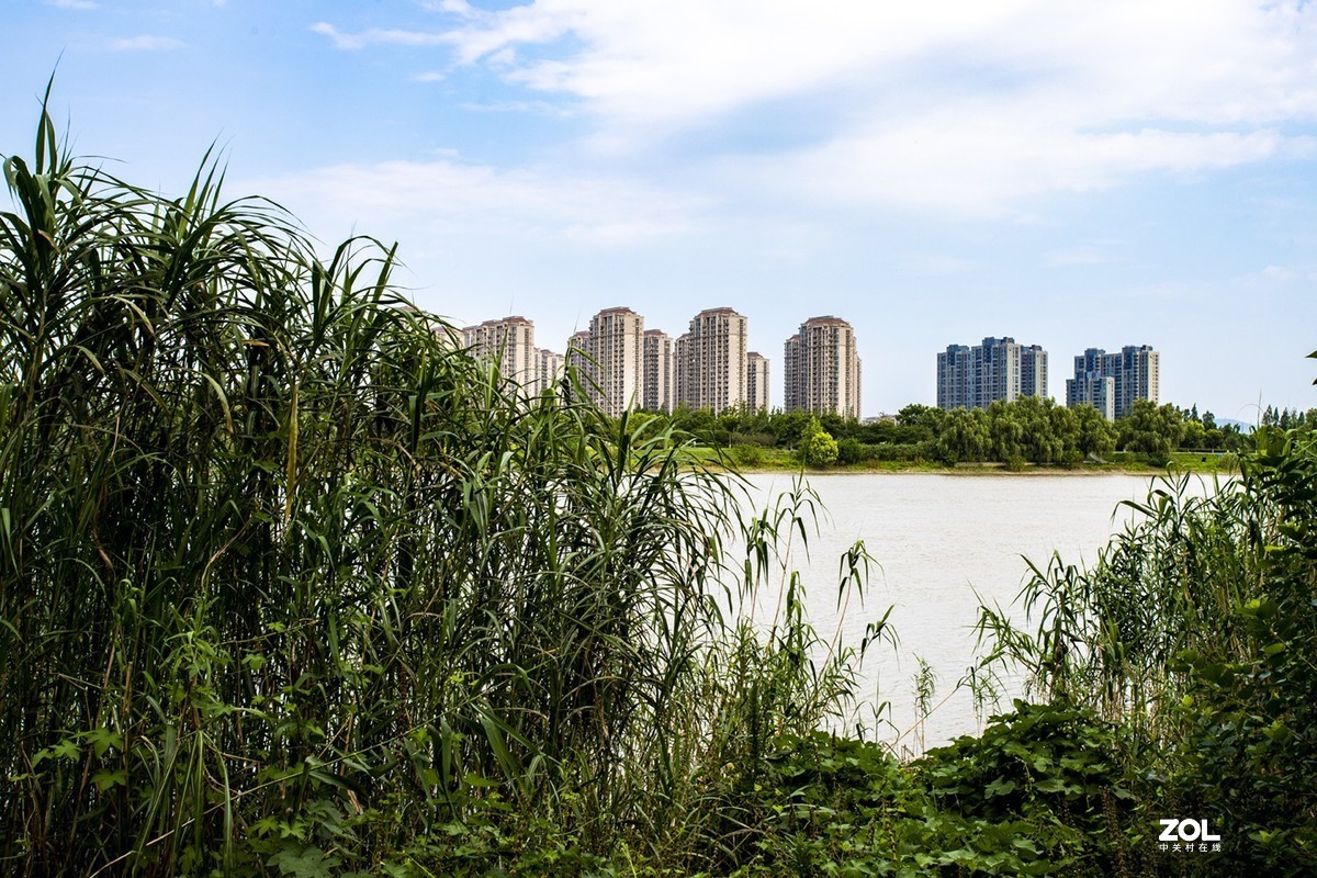 绿博园体验17-40