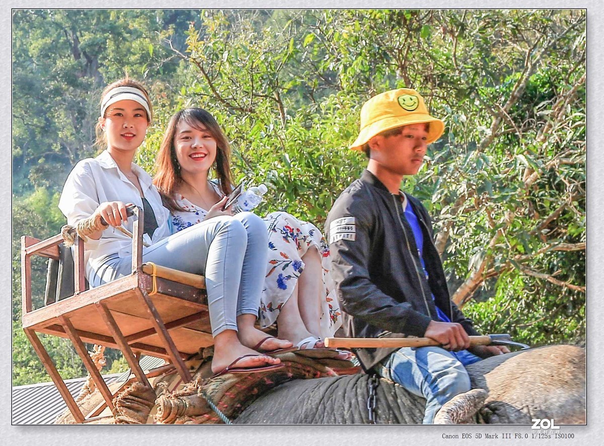 2020年度我的美女抓拍小结