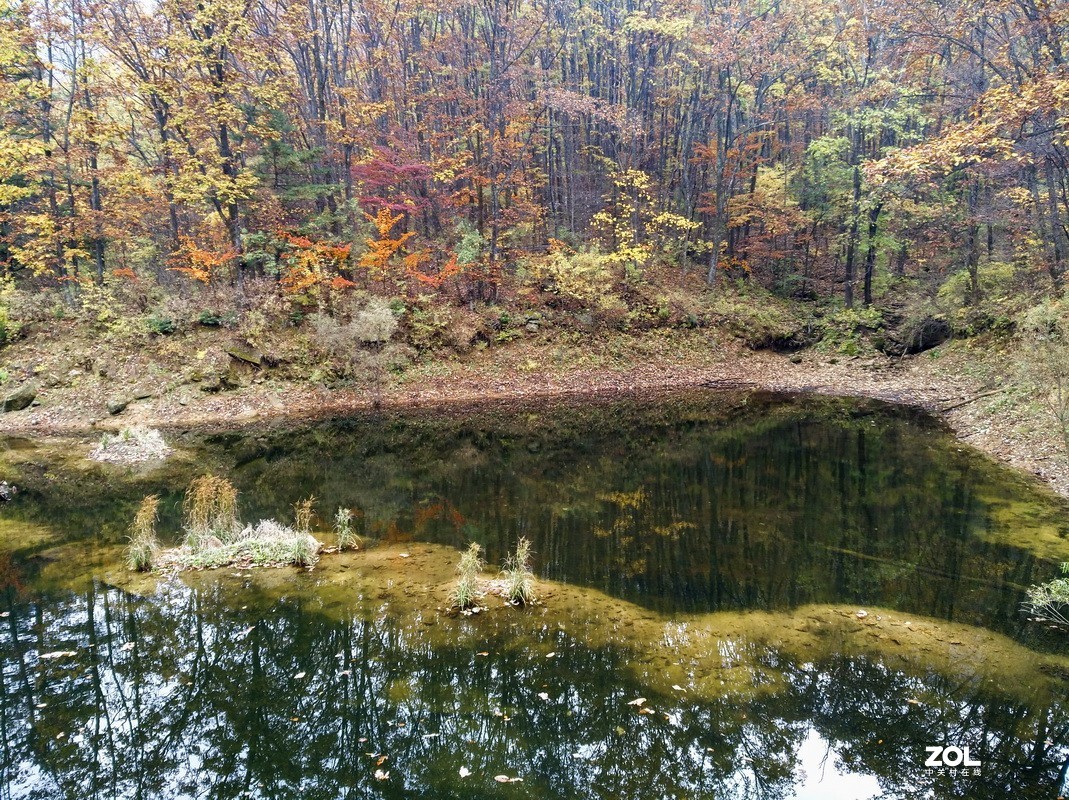 伏牛山随拍手机版（续）。