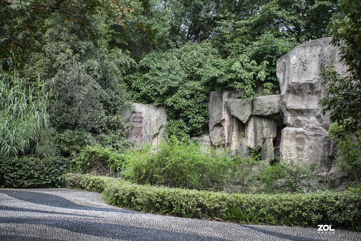 绿博园体验17-40