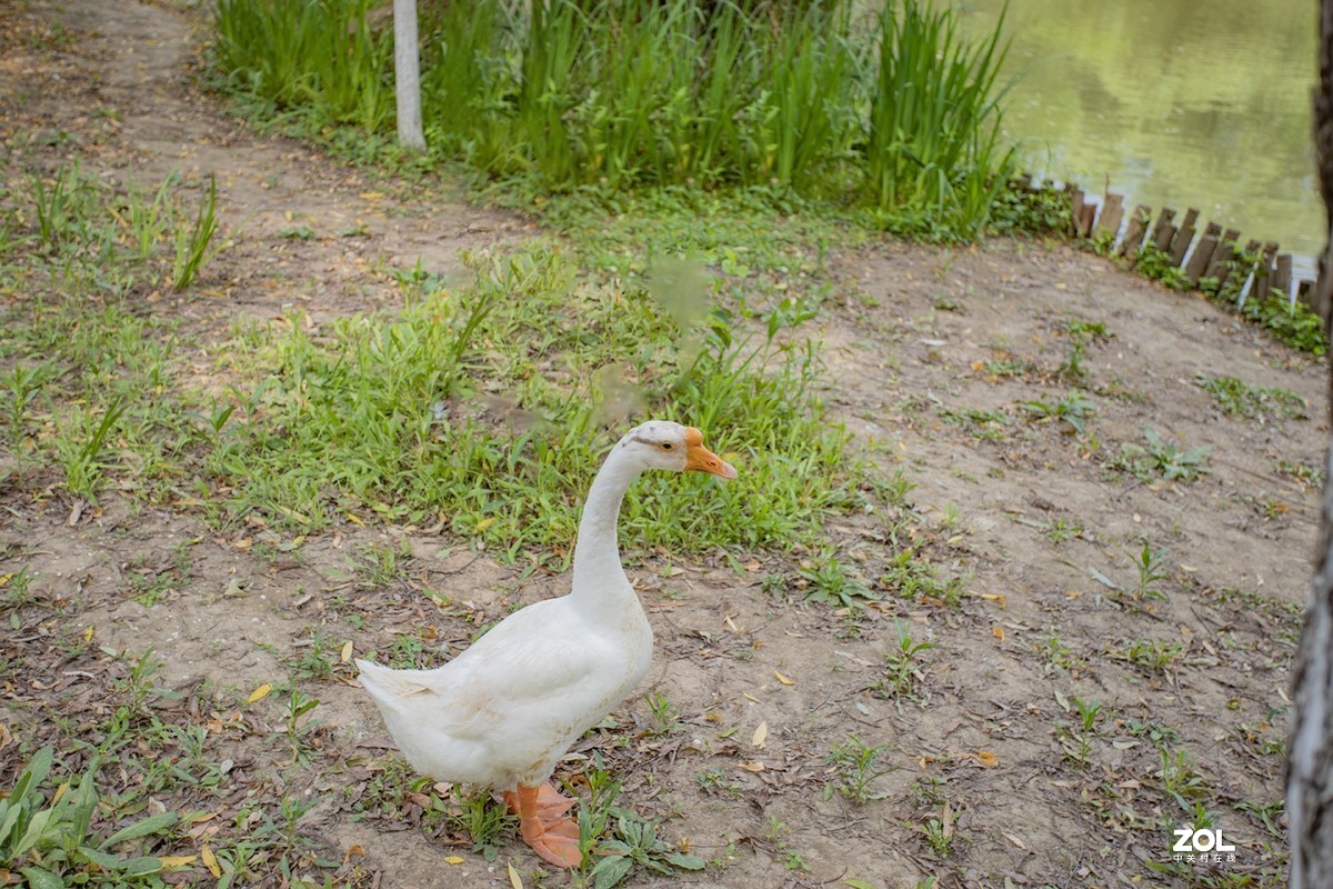 绿博园体验17-40