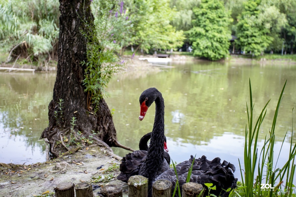 绿博园体验17-40