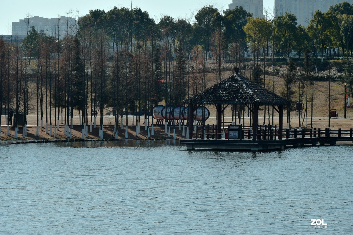 美麗的松雅湖溼地公園2