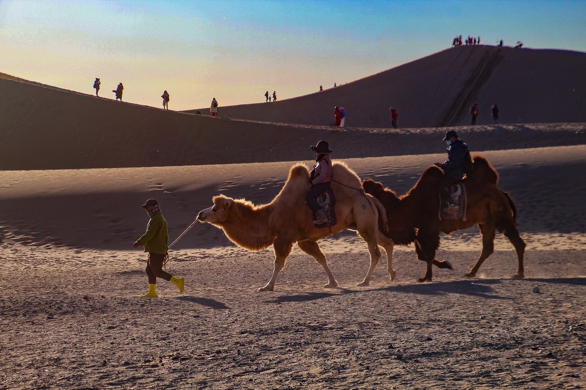 阿拉善沙漠地質公園