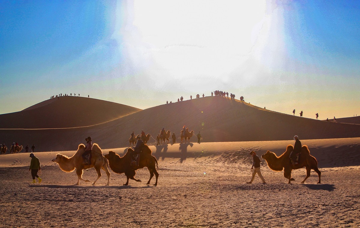 阿拉善沙漠地質公園