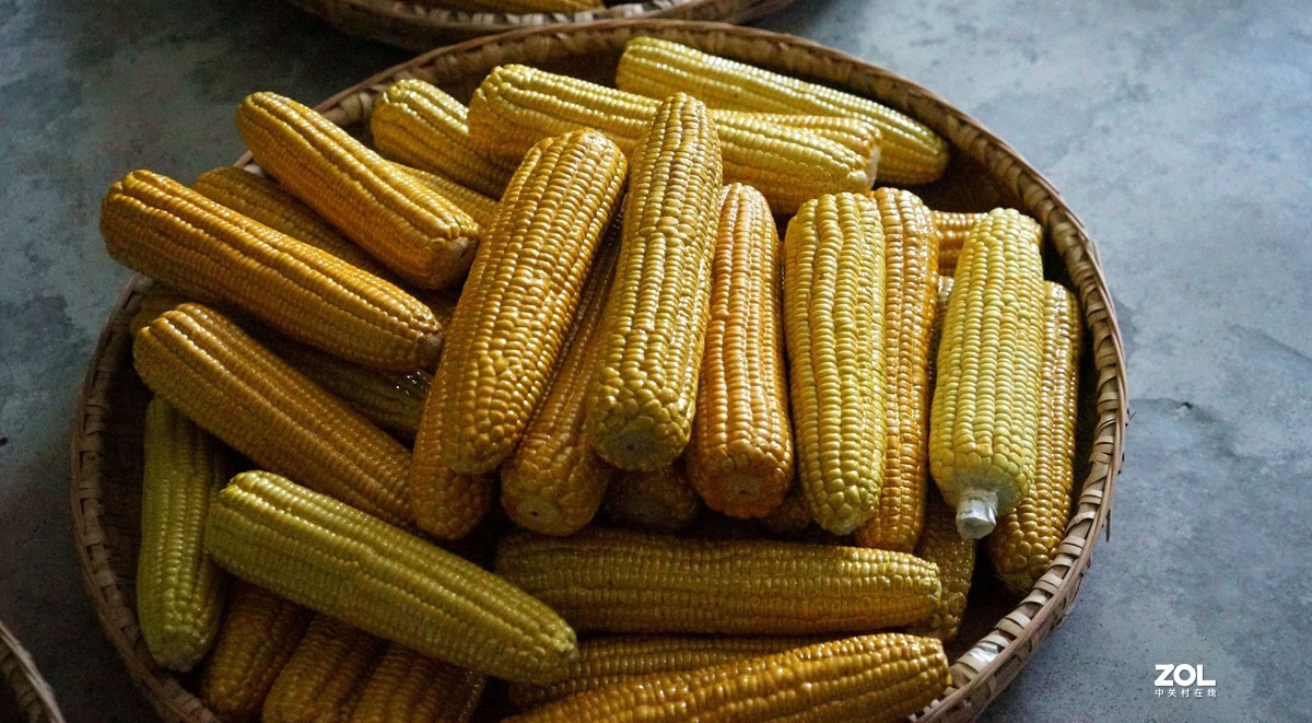 从假乱真一一陶泥艺术，市场价15万元