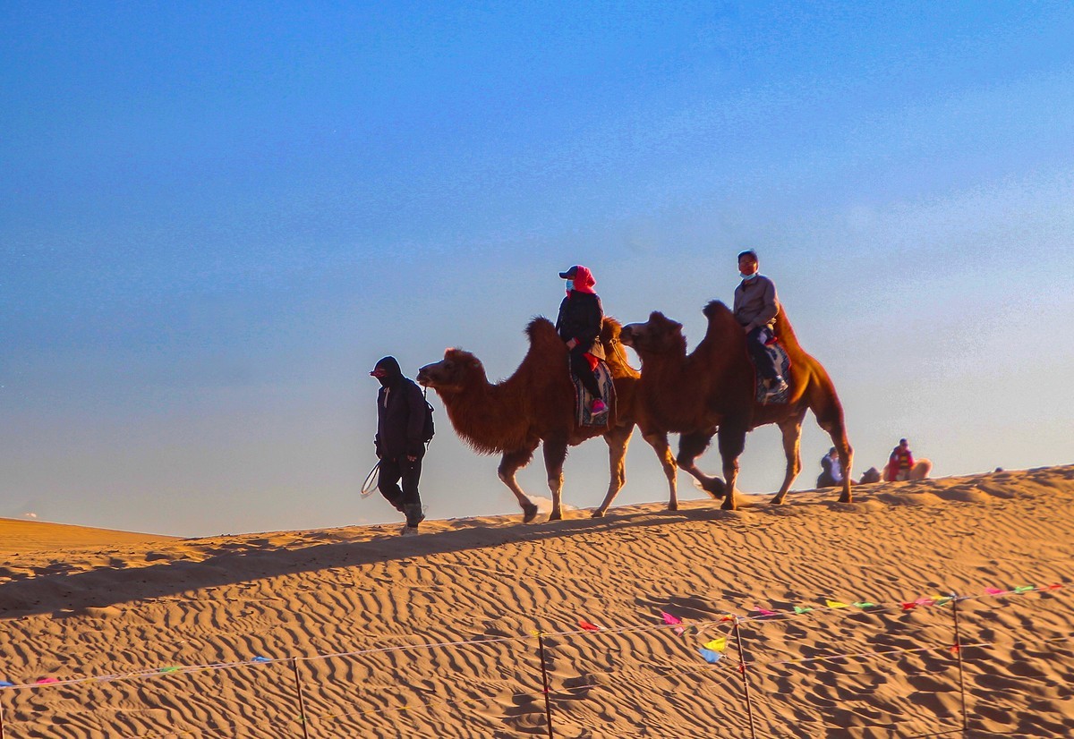 阿拉善沙漠地質公園