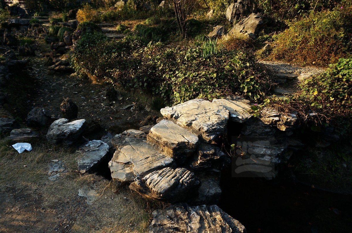 冬园草木最关情——武汉随笔