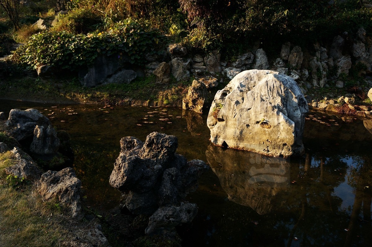 冬园草木最关情——武汉随笔