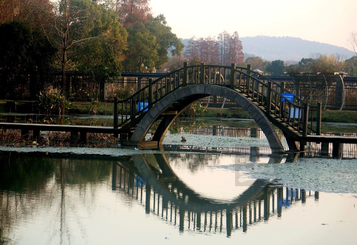 冬园草木最关情——武汉随笔