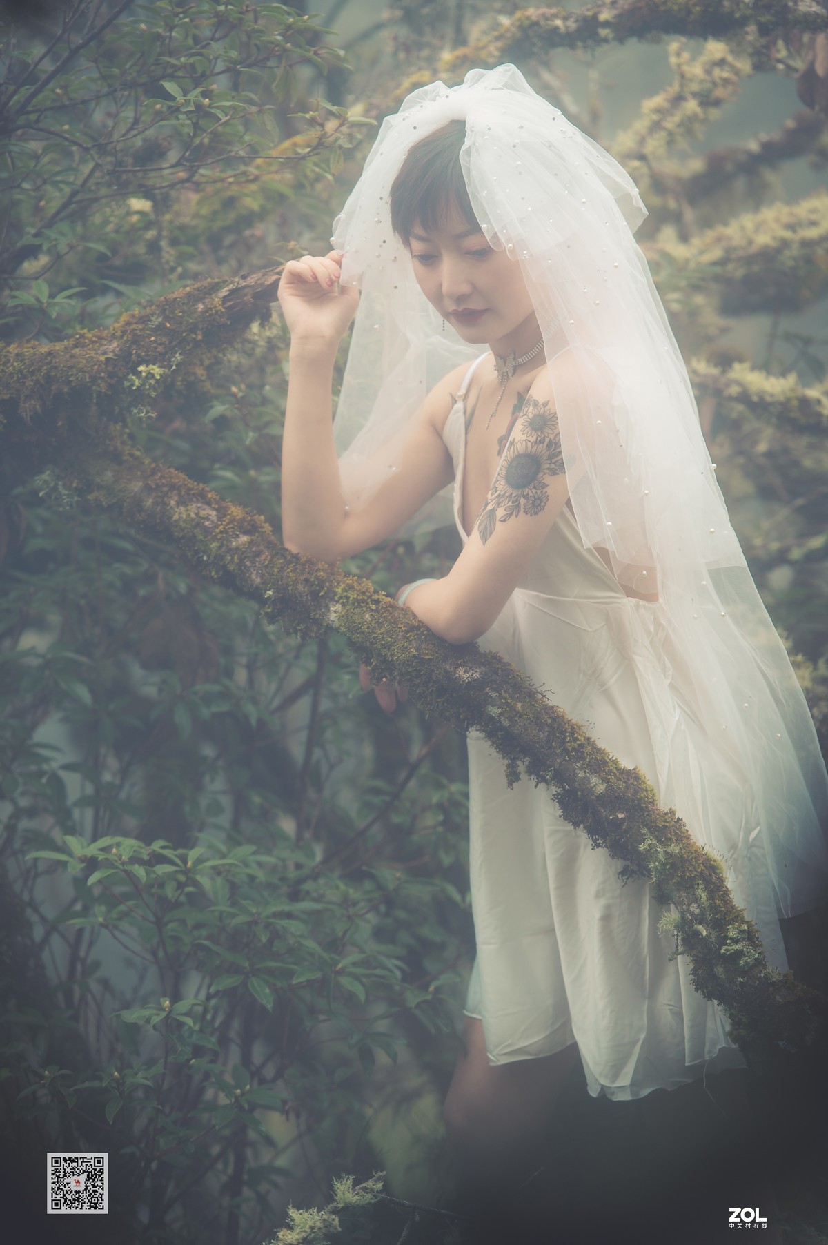 从D700升级Z6试拍森系人像