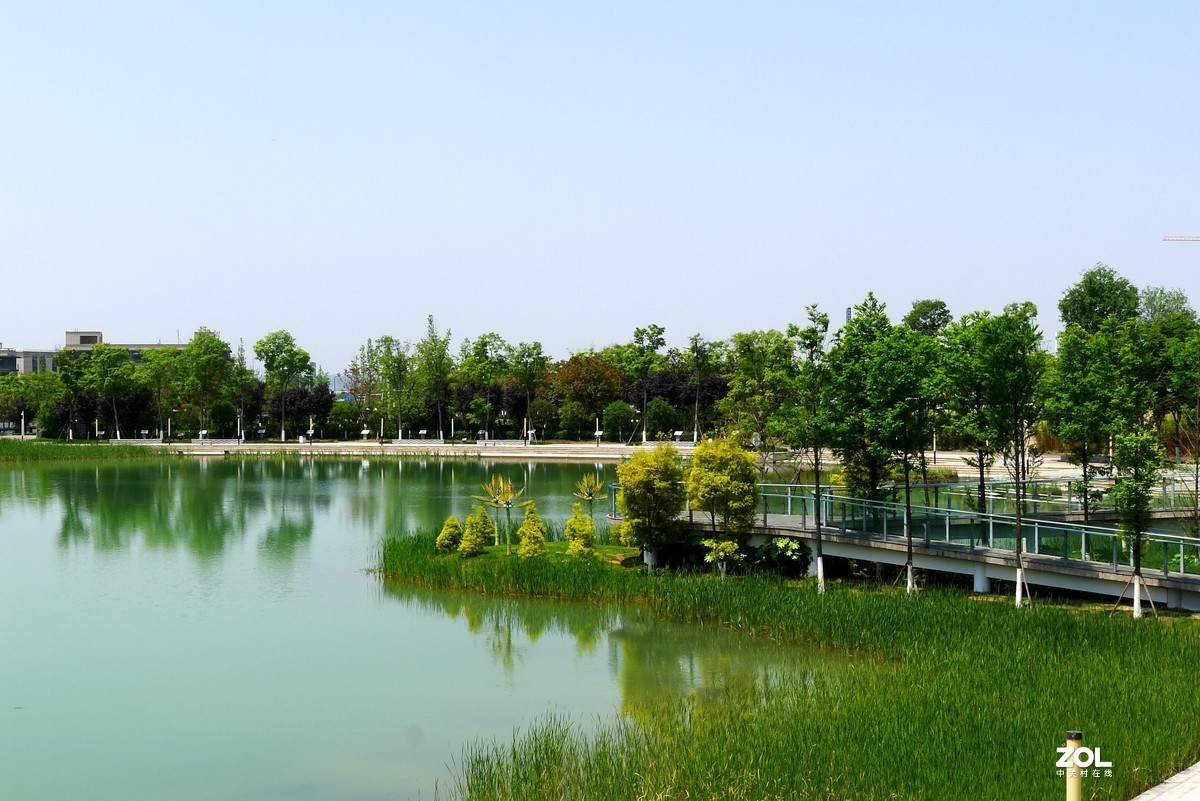 烈日之下的東湖公園