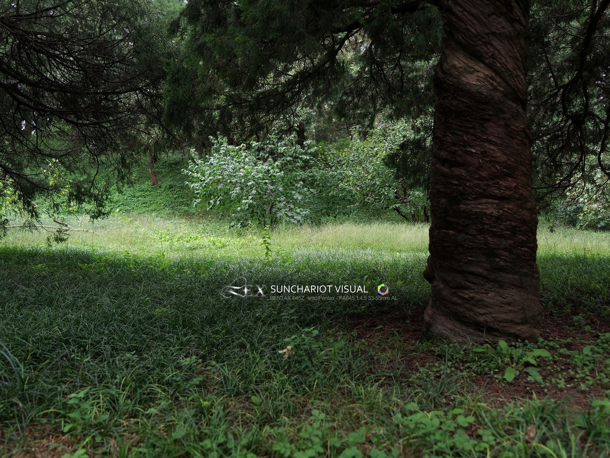 宾得33-55mm F4.5试拍