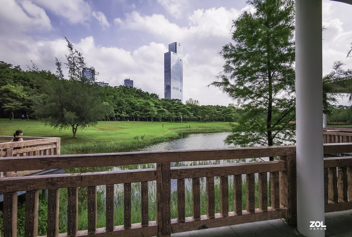 深圳莲花山公园掠影