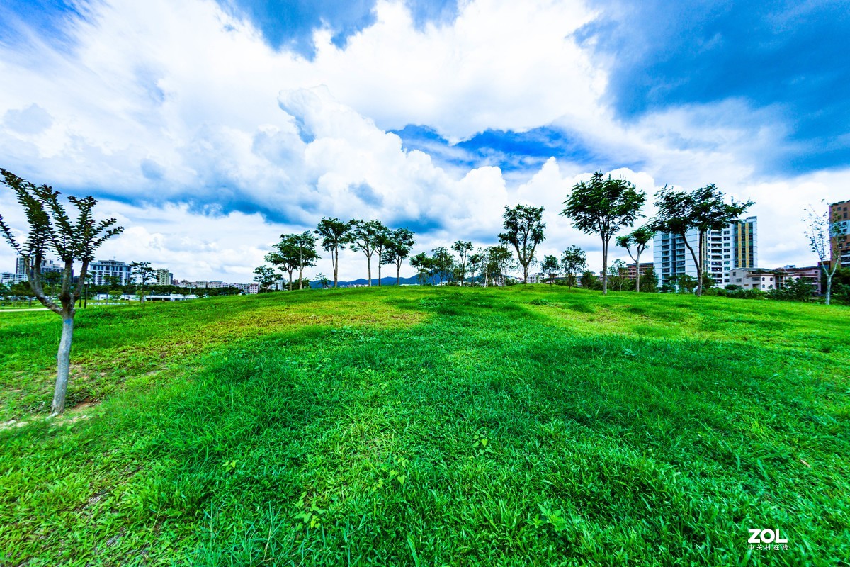 石巖溼地公園藍天草地