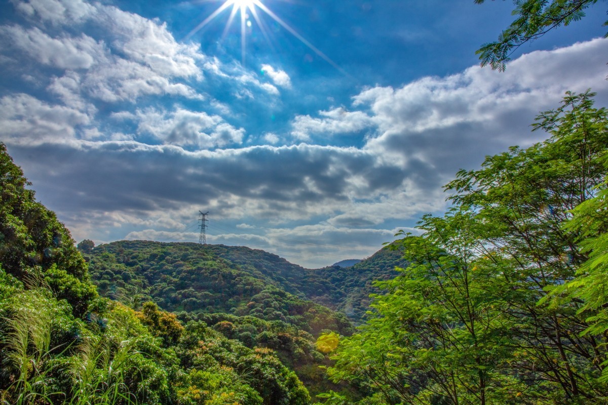 大岭山湿地公园图片图片