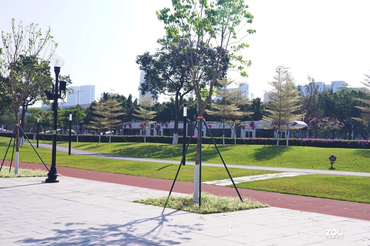 A6000随拍（116）