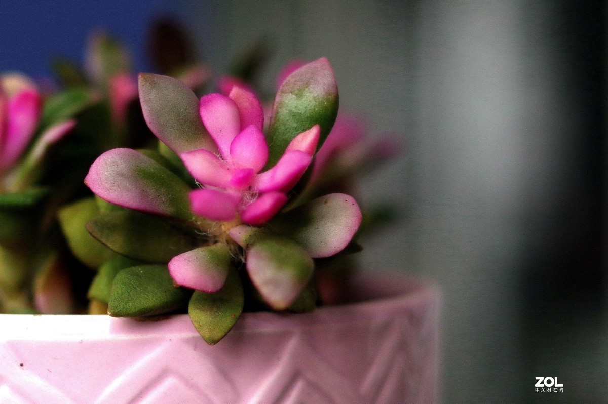 在家无聊测试35/2。星空(中国)别空着，星空(中国)现在很冷清啊