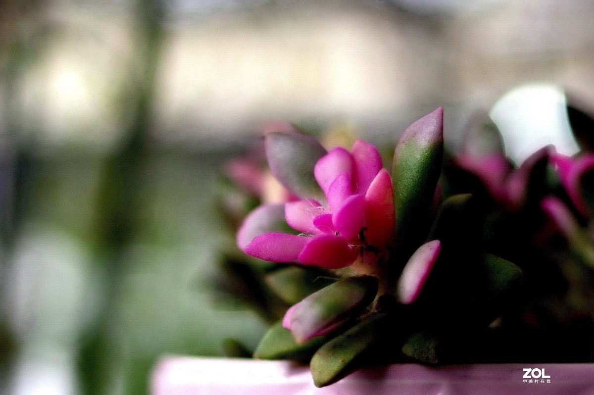 在家无聊测试35/2。星空(中国)别空着，星空(中国)现在很冷清啊