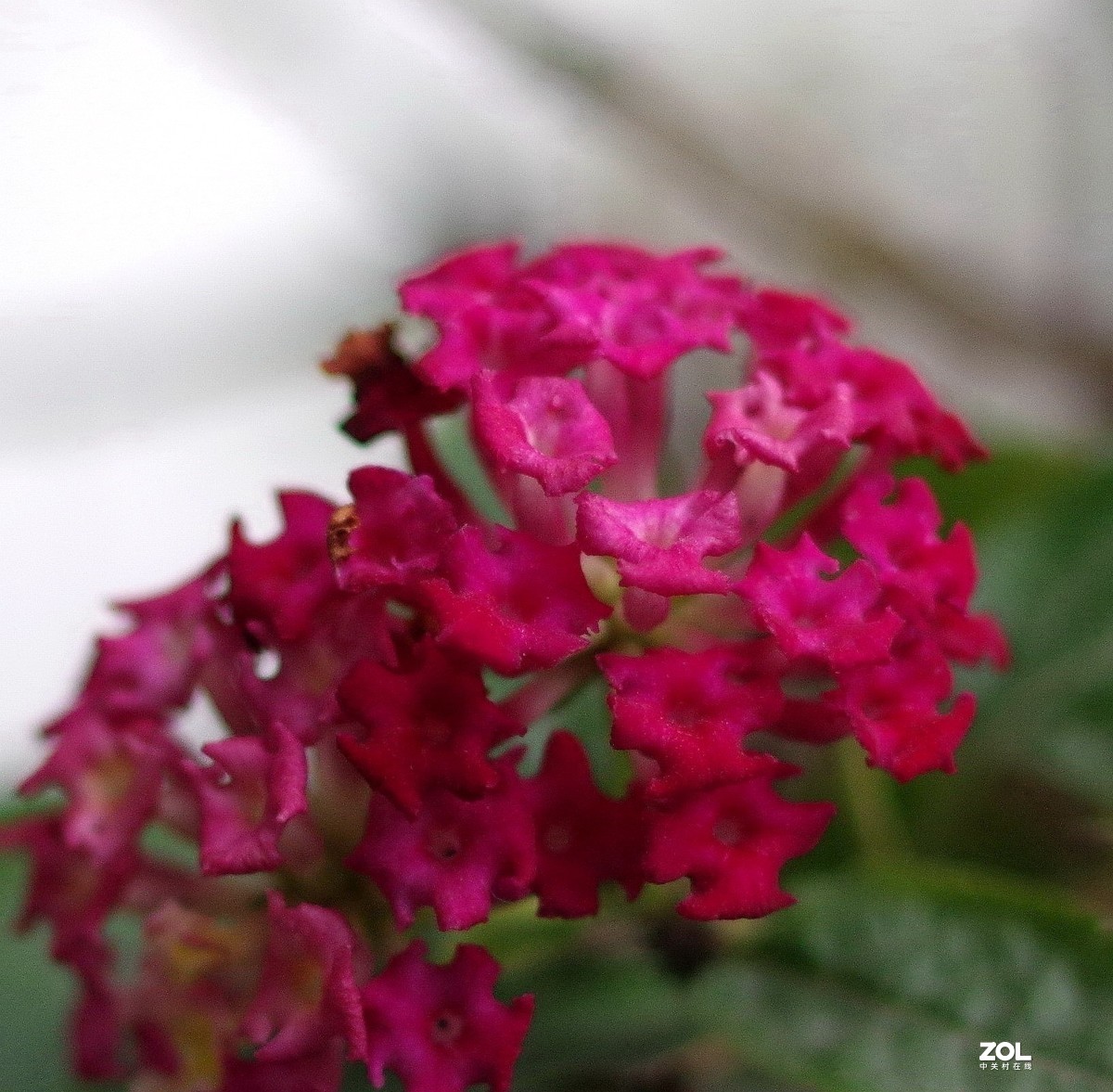 在家无聊测试35/2。星空(中国)别空着，星空(中国)现在很冷清啊