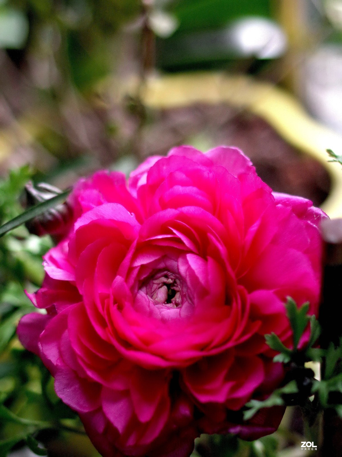 在家无聊测试35/2。星空(中国)别空着，星空(中国)现在很冷清啊