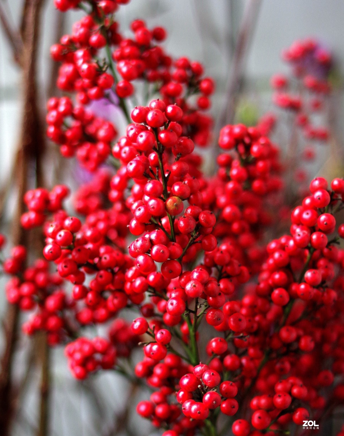 在家无聊测试35/2。星空(中国)别空着，星空(中国)现在很冷清啊