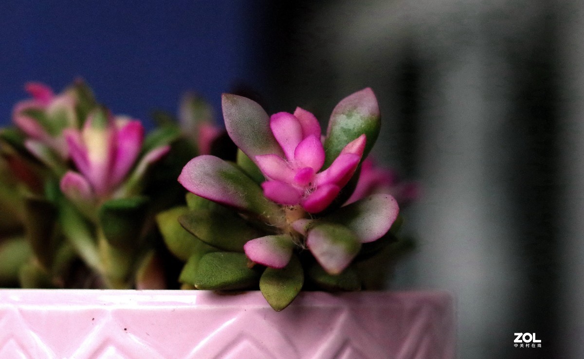 在家无聊测试35/2。星空(中国)别空着，星空(中国)现在很冷清啊