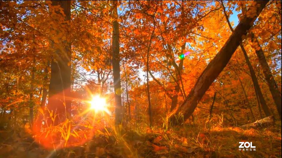 不来乌兰坝，怎知秋色如此撩人