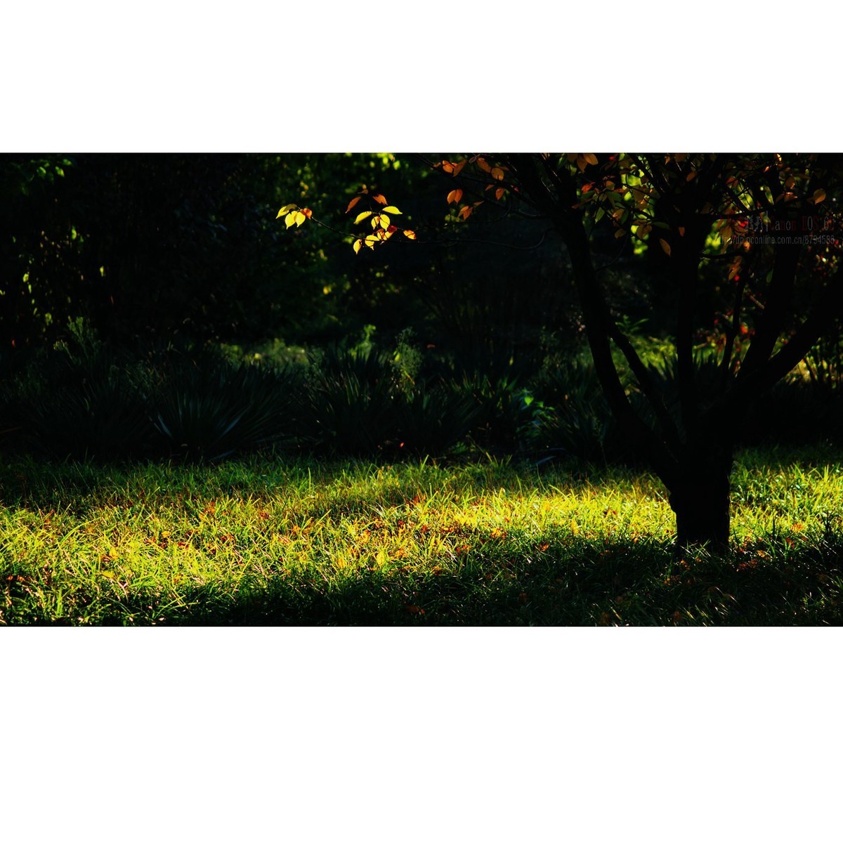 阔别一个月的太阳