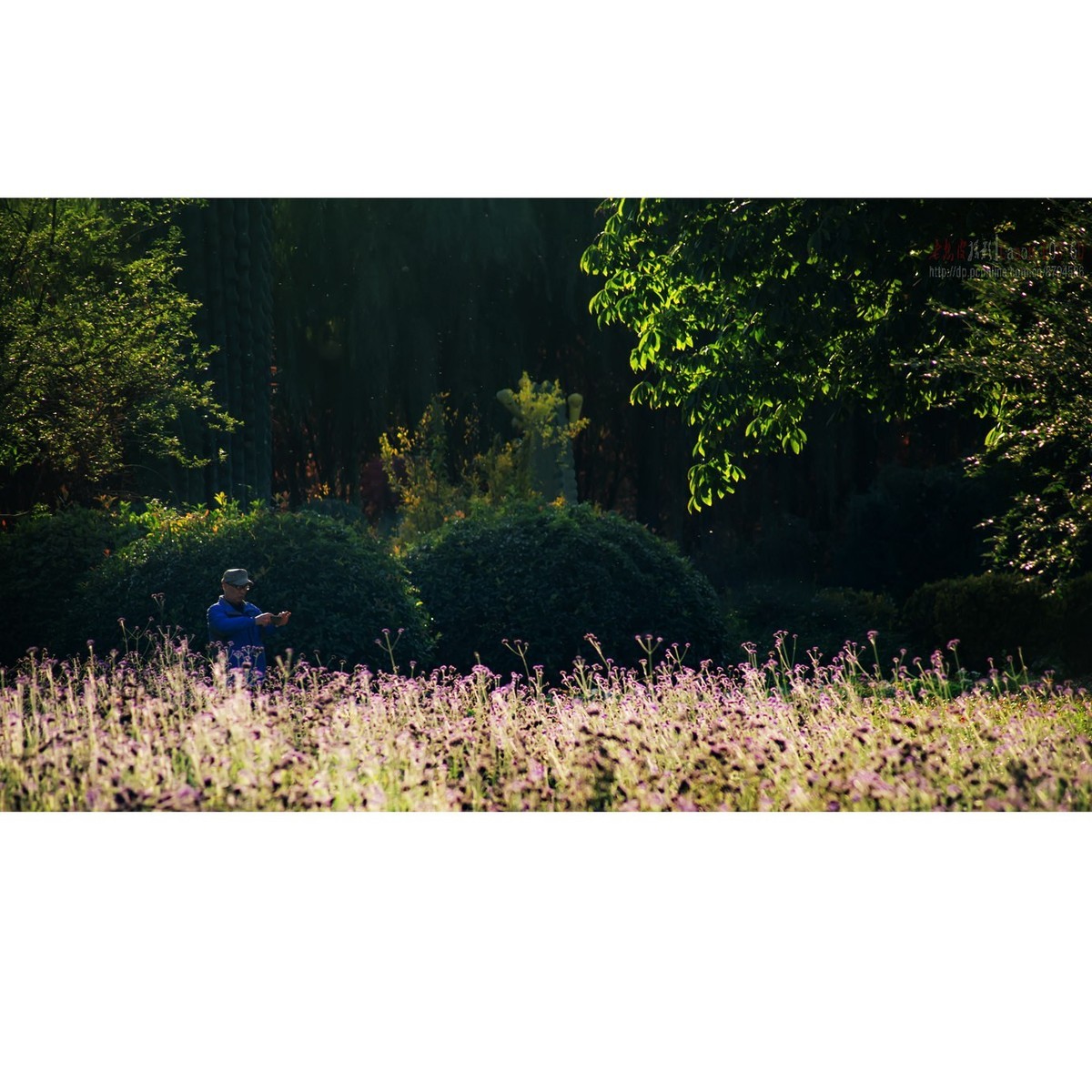 阔别一个月的太阳