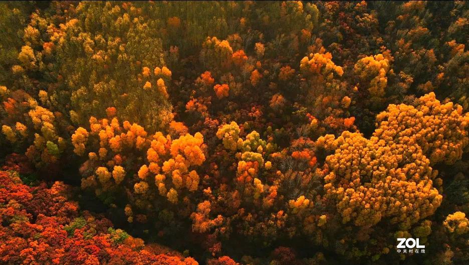 不来乌兰坝，怎知秋色如此撩人