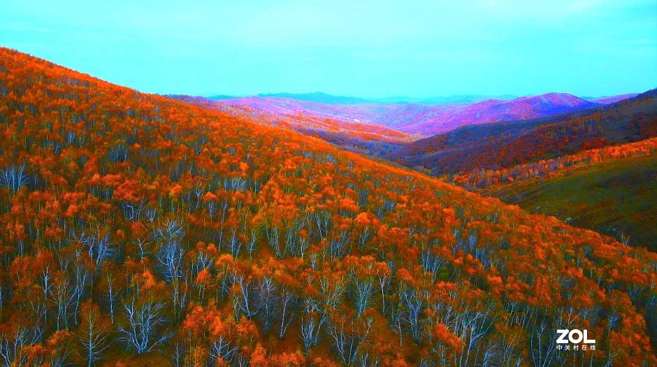 不来乌兰坝，怎知秋色如此撩人