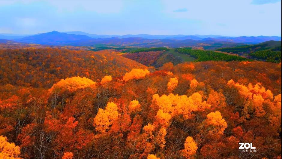 不来乌兰坝，怎知秋色如此撩人
